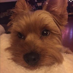 Meet your Posher, Kristy